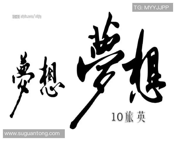 追逐梦想的脚步与激情燃烧的绿茵场上的足球明星之歌