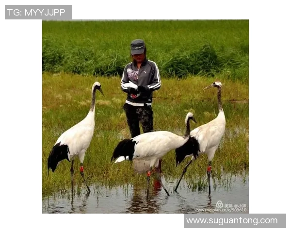 从木匠到足球明星的逆袭之路：追梦旅程与奋斗精神的真实故事